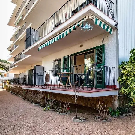 La Gaviota Bonito Apartamento Centro Sagaro Girona